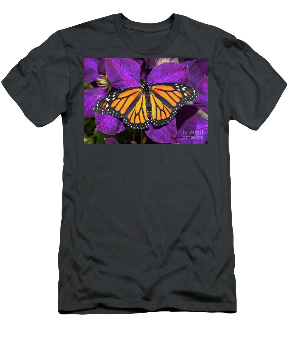 Butterfly T-Shirt featuring the photograph Orange on Purple by Sari ONeal