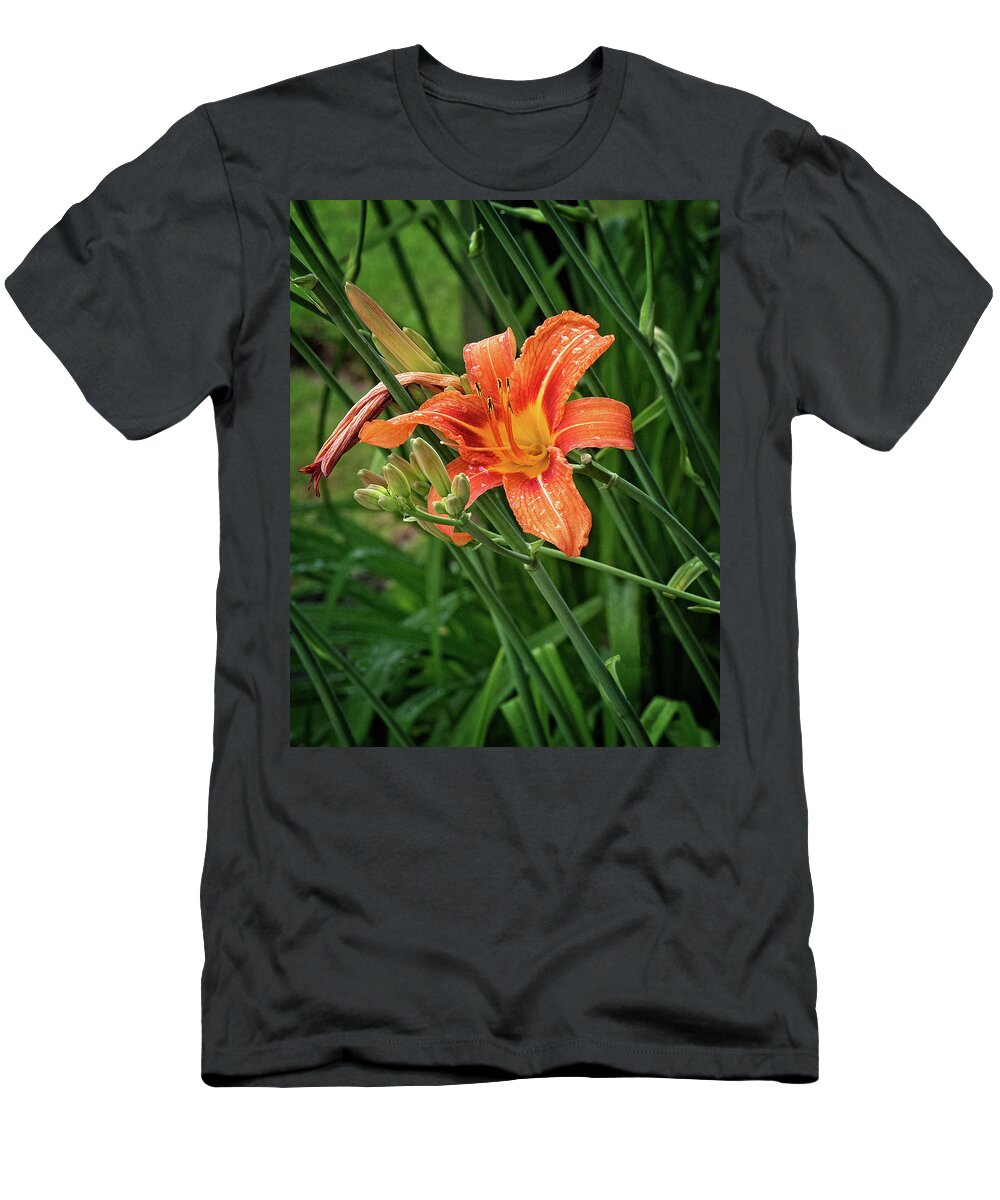 Orange Tiger Lily Portrait T-Shirt featuring the photograph Orange Tiger Lily Portrait by Gwen Gibson