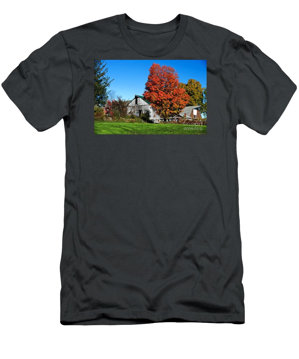 Fall In New England T-Shirt featuring the photograph Orange Tree By The Barn by Jim Calarese