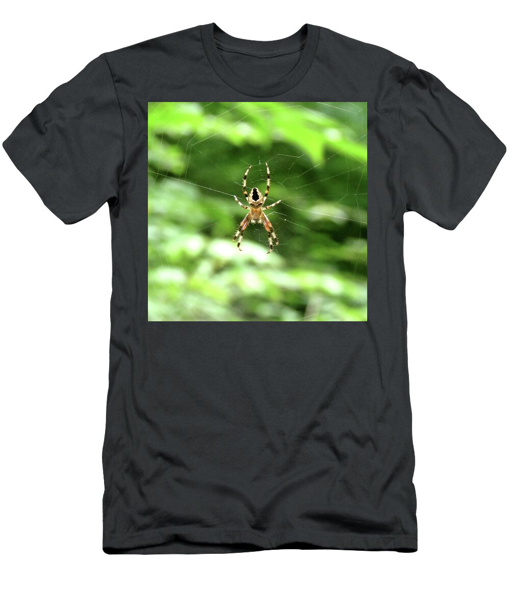 Spider T-Shirt featuring the photograph Orb Weaver by Azthet Photography