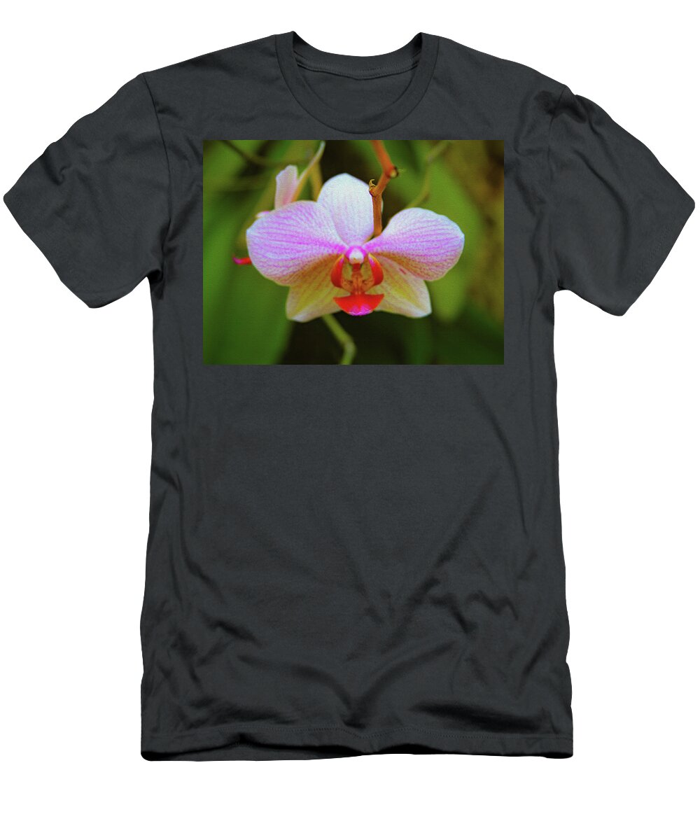 Bonnie Follett T-Shirt featuring the photograph Orchid Blush by Bonnie Follett