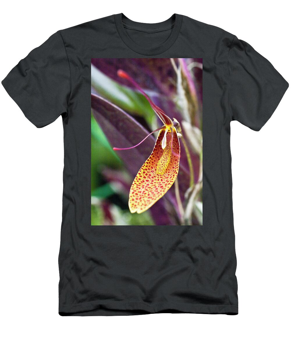 Orchid T-Shirt featuring the photograph Orchid Flower - Restrepia radulifera by Heiko Koehrer-Wagner