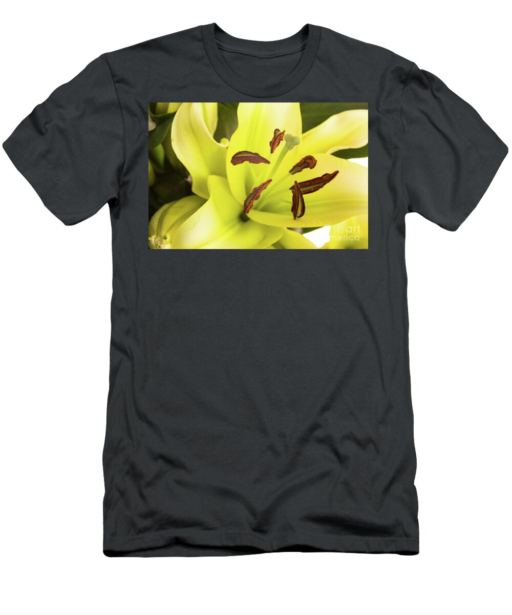 Alive T-Shirt featuring the photograph Oriental Lily Flower by Raul Rodriguez