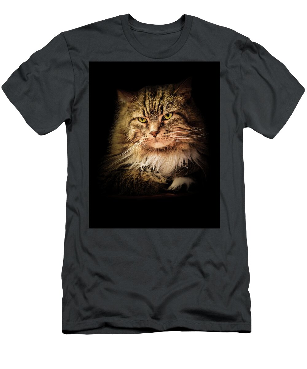 Cat T-Shirt featuring the photograph Oscar on Black by Joni Eskridge