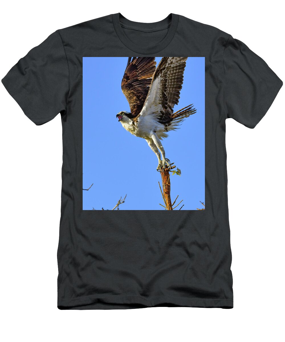 Osprey T-Shirt featuring the photograph Osprey Reaching for the Sky by Artful Imagery