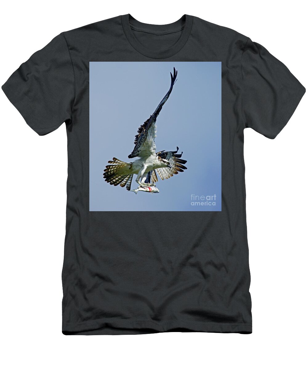 Bird T-Shirt featuring the photograph Osprey Success by Larry Nieland