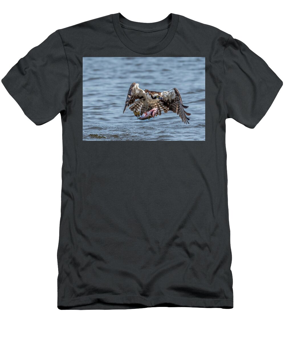 Animal T-Shirt featuring the photograph Osprey with Catch 9108 by Donald Brown