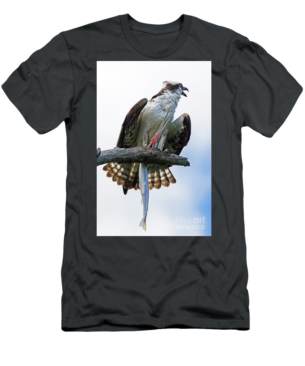 Osprey T-Shirt featuring the photograph Osprey with Needlefish by Larry Nieland