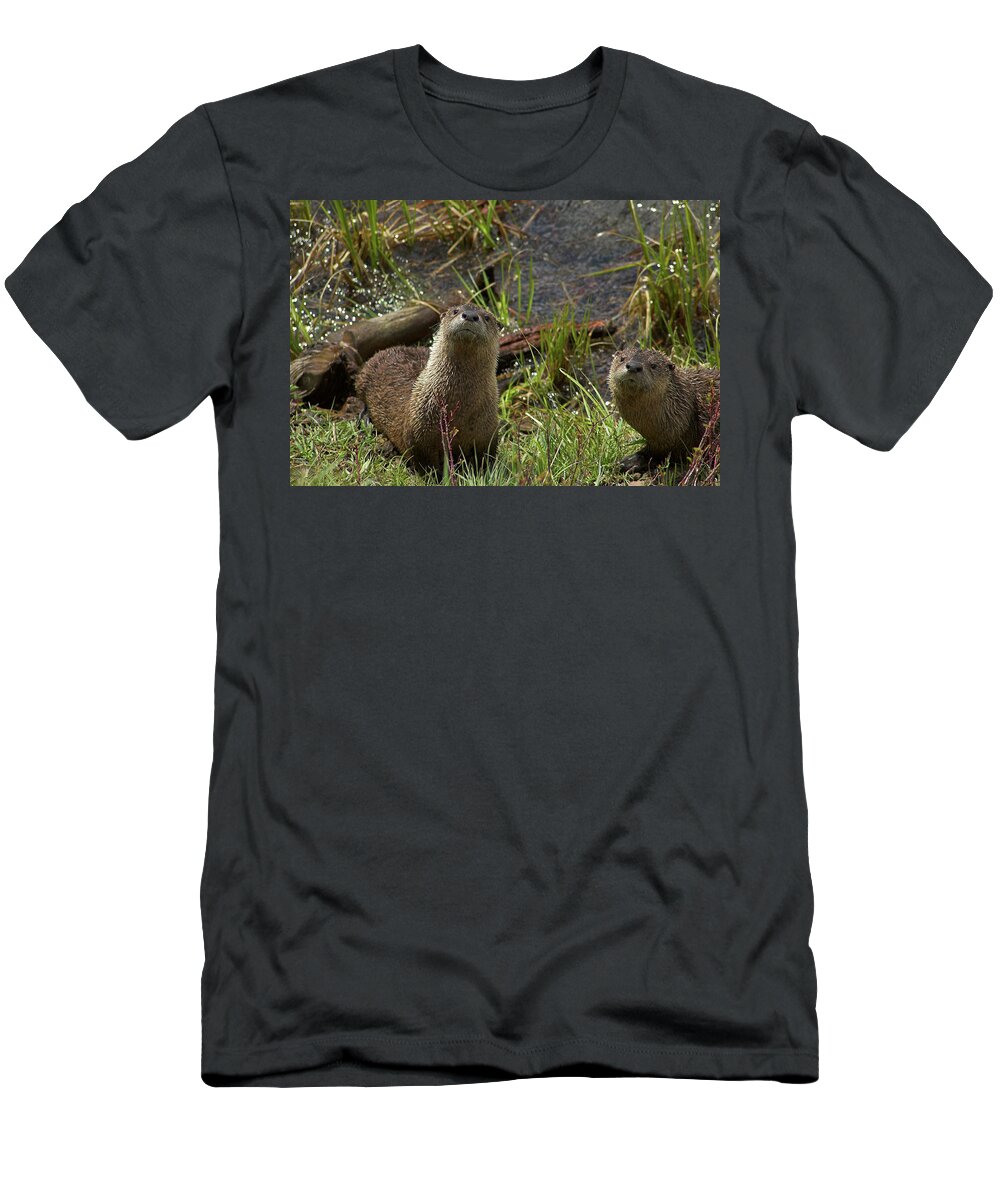 Otter T-Shirt featuring the photograph Otters by Steve Stuller