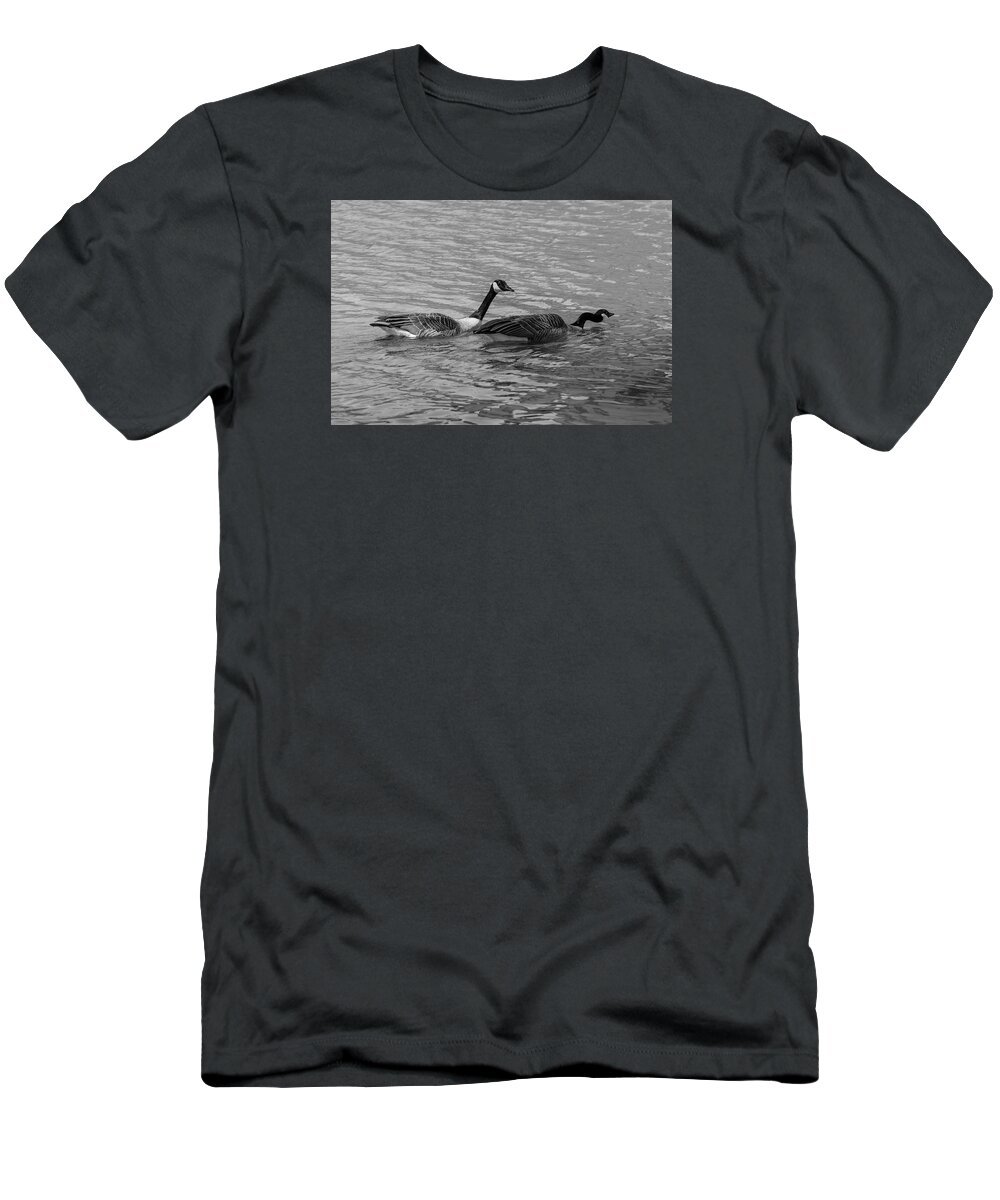 Out For A Swim T-Shirt featuring the photograph Out For a Swim by Susan McMenamin