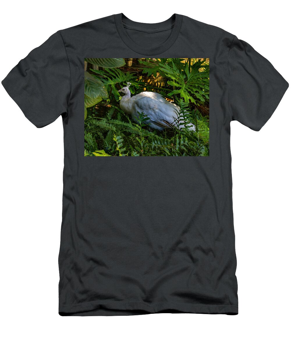 New T-Shirt featuring the photograph Out of Concealment  by Ken Frischkorn