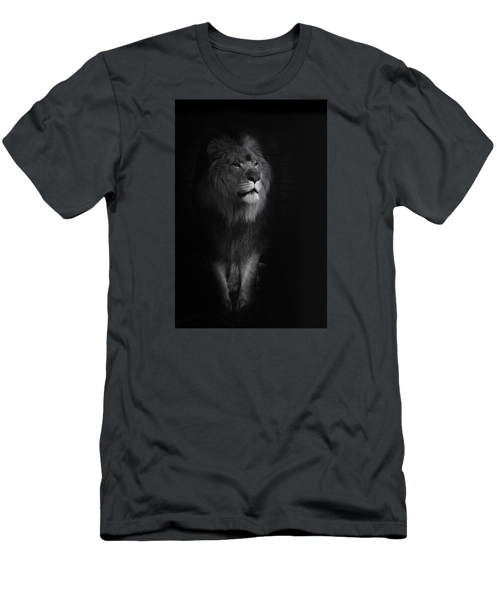 Lion T-Shirt featuring the photograph Out of Darkness by Ken Barrett