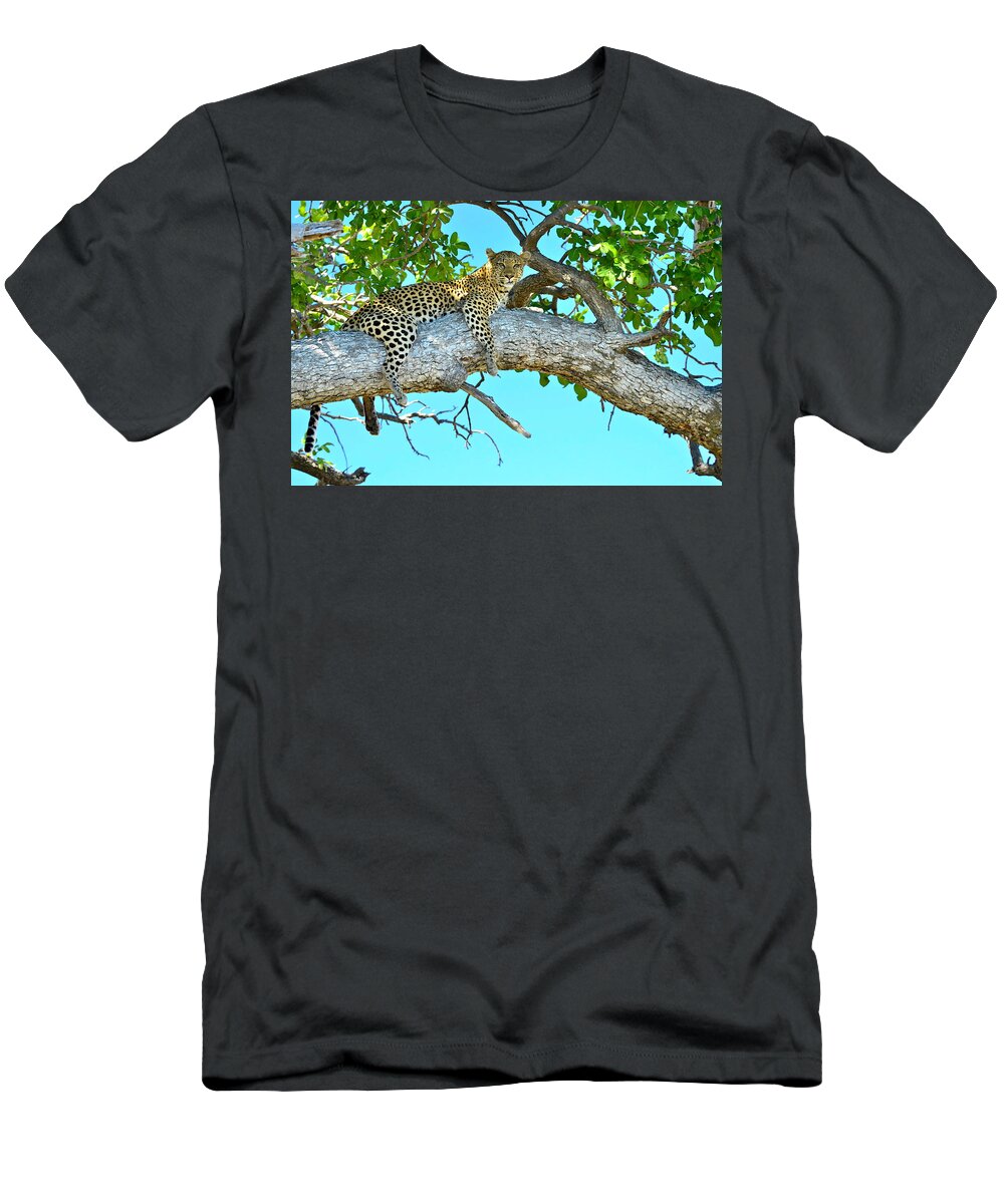 Leopard T-Shirt featuring the photograph Out on a Limb by Don Mercer