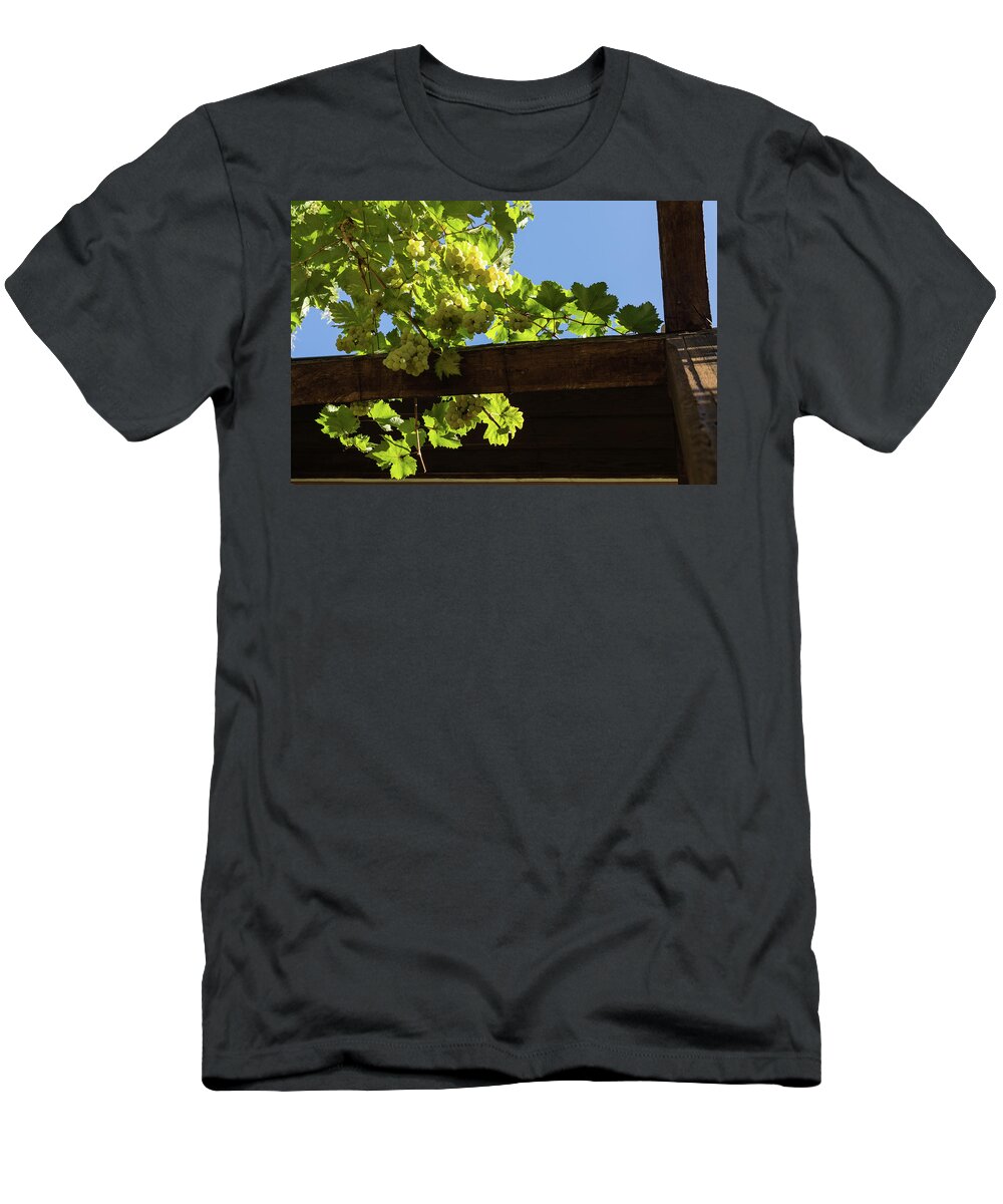 Georgia Mizuleva T-Shirt featuring the photograph Overhead Grape Harvest - Summertime Dreaming of Fine Wines by Georgia Mizuleva
