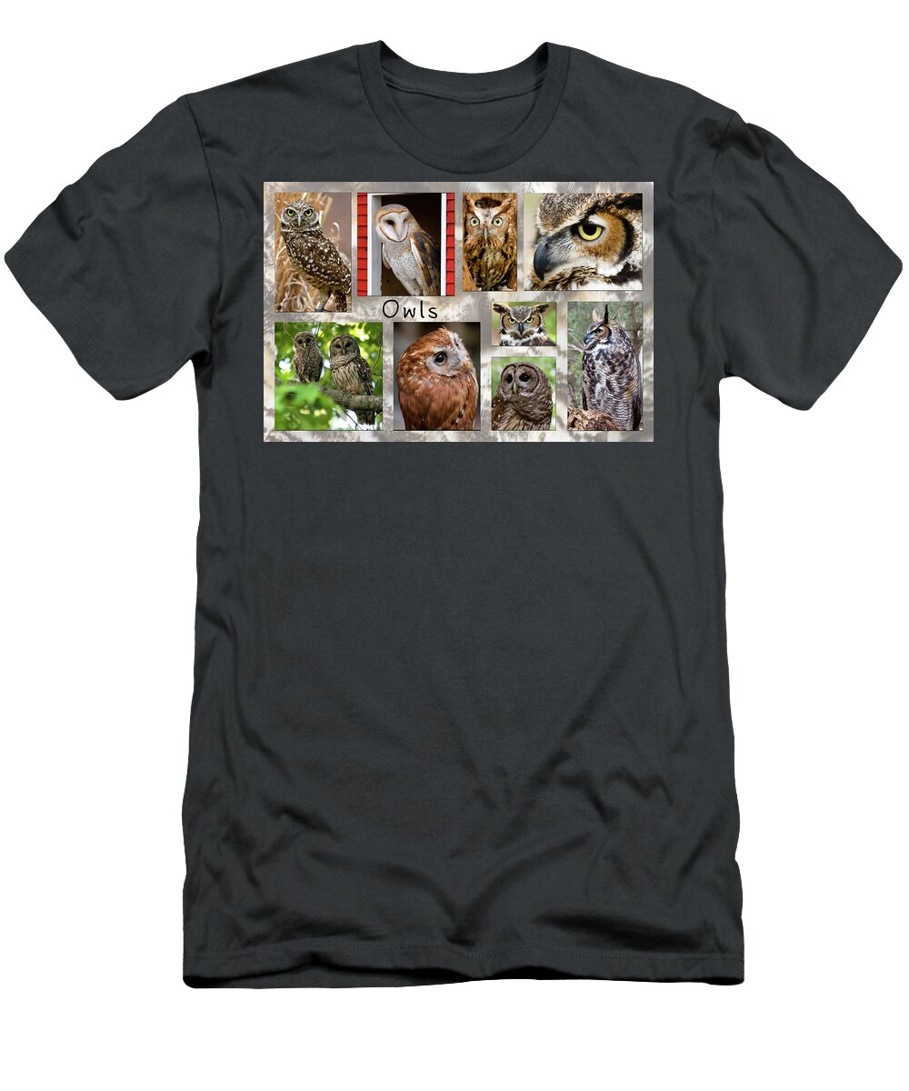 Owls T-Shirt featuring the photograph Owl Photomontage by Jill Lang