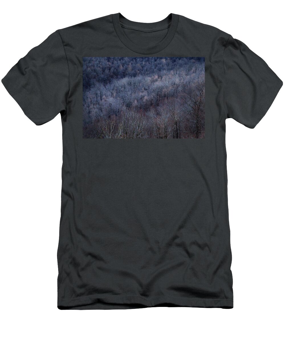 Autumn T-Shirt featuring the photograph Ozark Trees #3 by David Chasey
