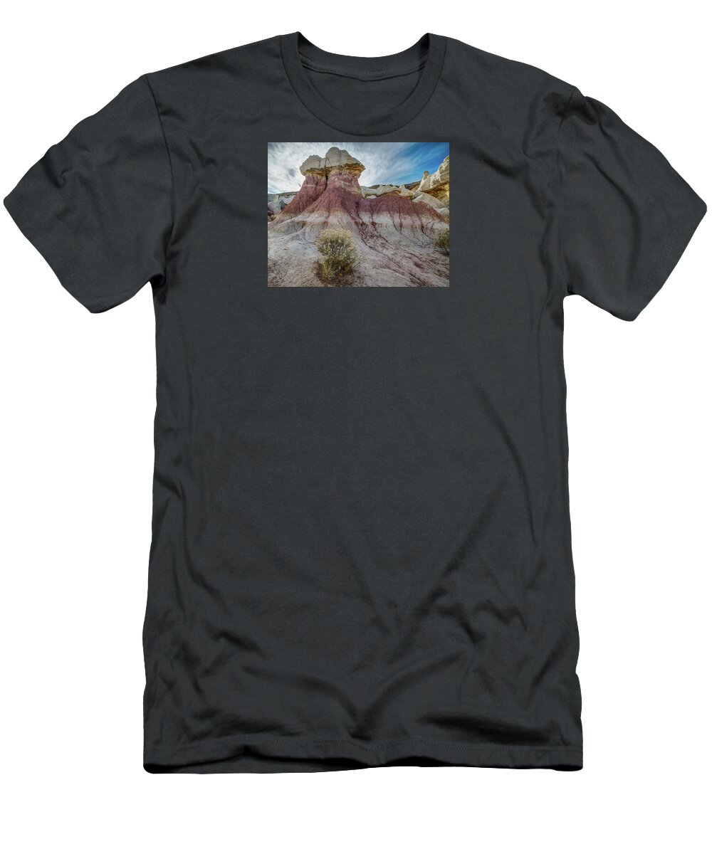 Colorado T-Shirt featuring the photograph Paint Mine Park Hoodoo by John Strong