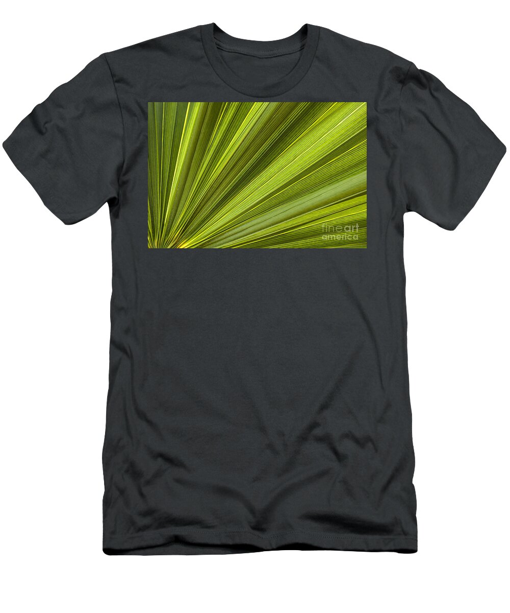 Leaf T-Shirt featuring the photograph Palm leaf abstract by Elena Elisseeva