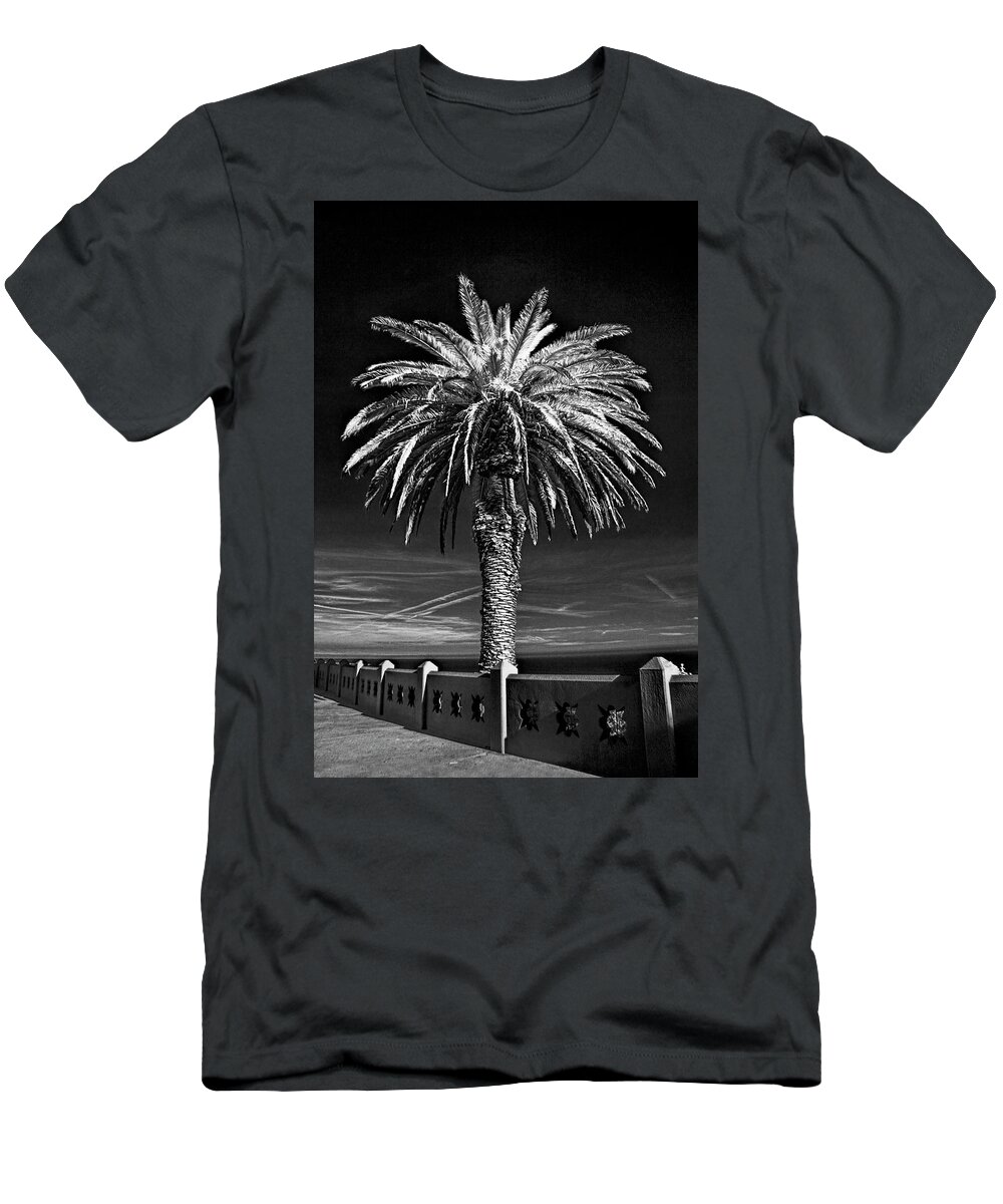 Tree T-Shirt featuring the photograph Palm Tree at Point Fermin in Los Angeles California in Black and White Infrared by Randall Nyhof
