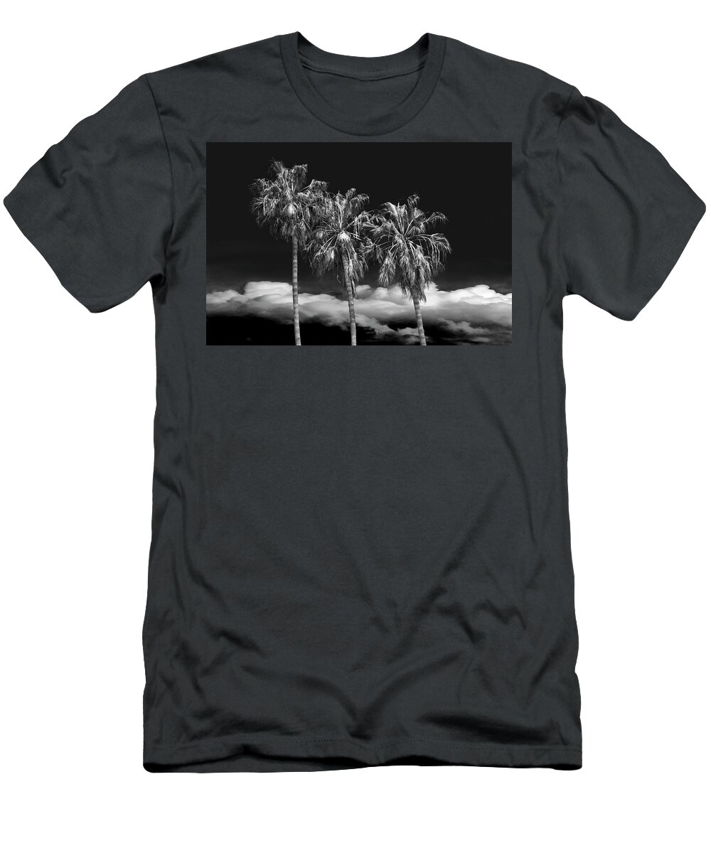 Tree T-Shirt featuring the photograph Palm Trees in Black and White on Cabrillo Beach by Randall Nyhof