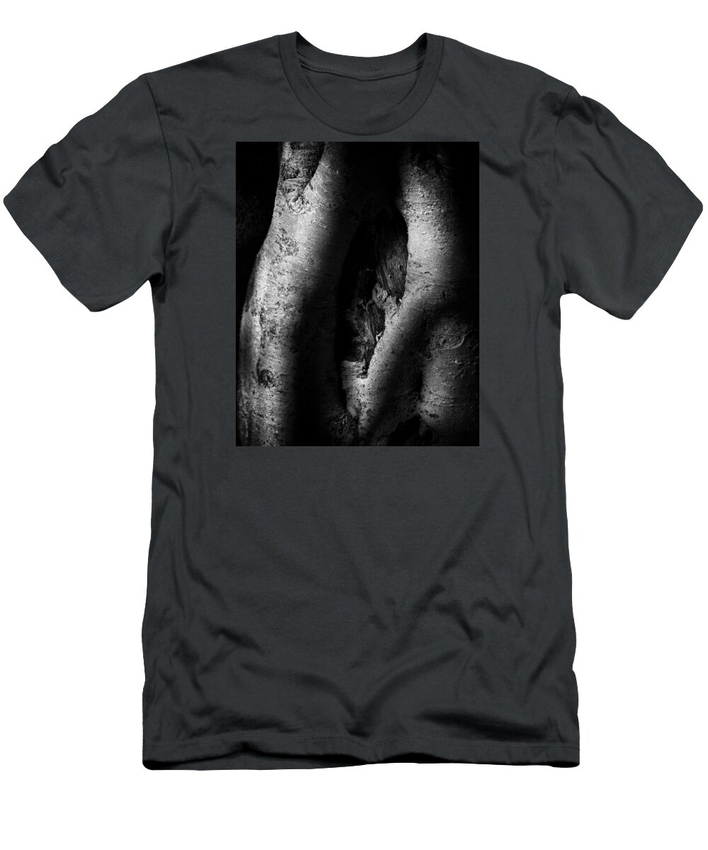 Desert T-Shirt featuring the photograph Palo Verde Treee by Elaine Malott