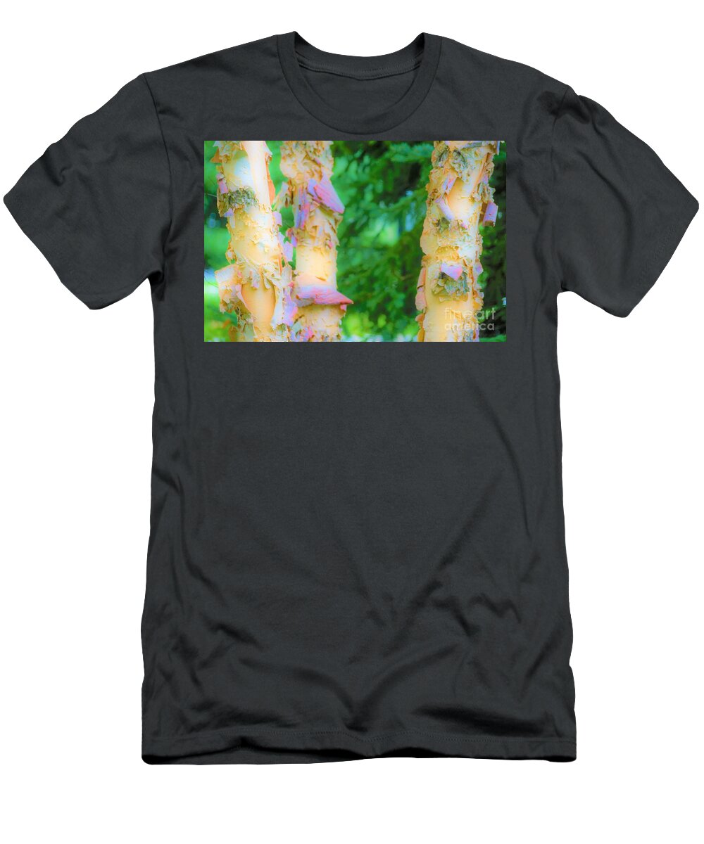 Trees T-Shirt featuring the photograph Paper thin Bark by Merle Grenz