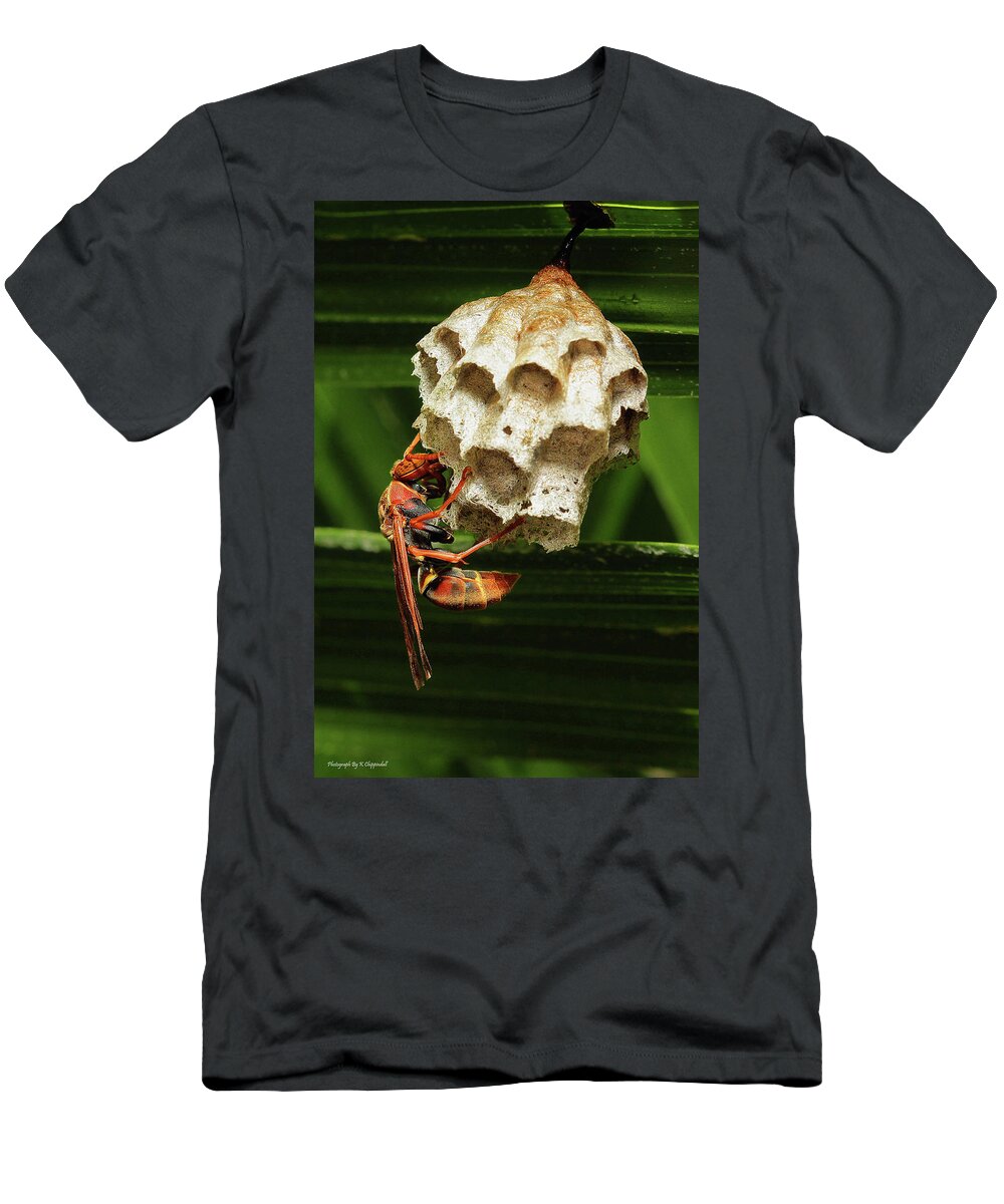 Paper Wasps T-Shirt featuring the photograph Paper wasps 00666 by Kevin Chippindall