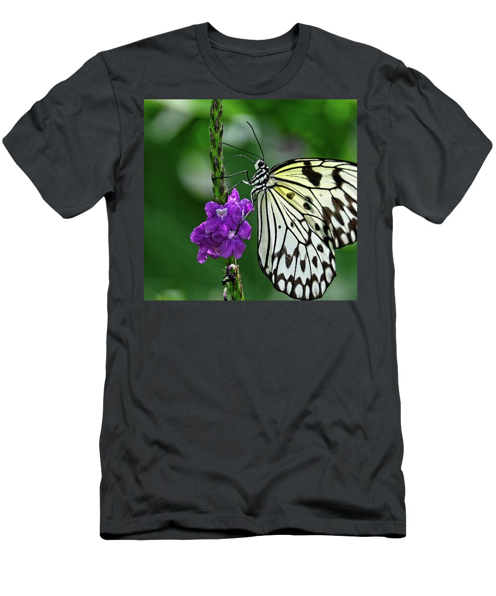 Paperkite Butterfly T-Shirt featuring the photograph Paperkite Butterfly closeup by Ronda Ryan