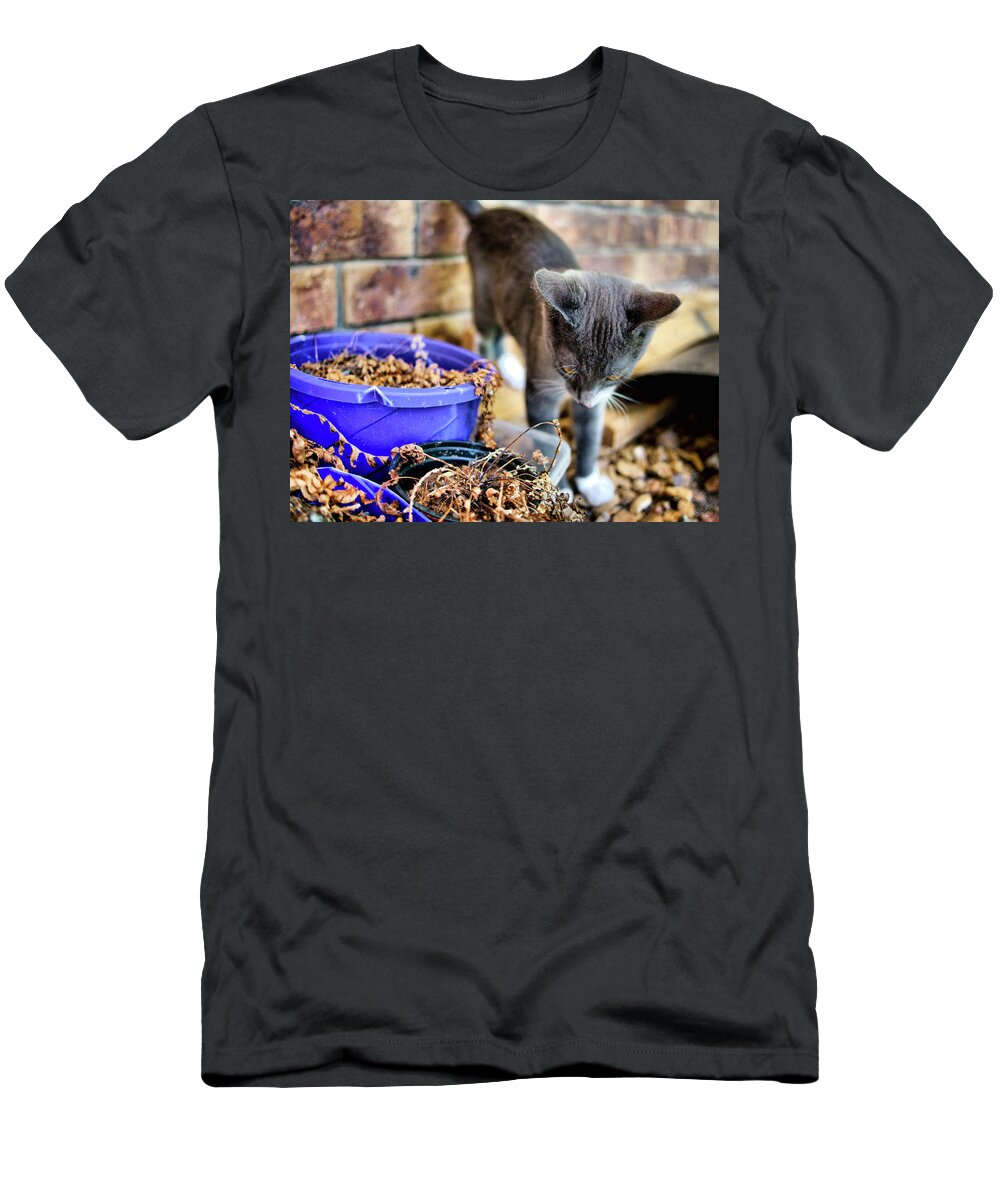 Animals T-Shirt featuring the photograph Patches eplore by Michael Blaine