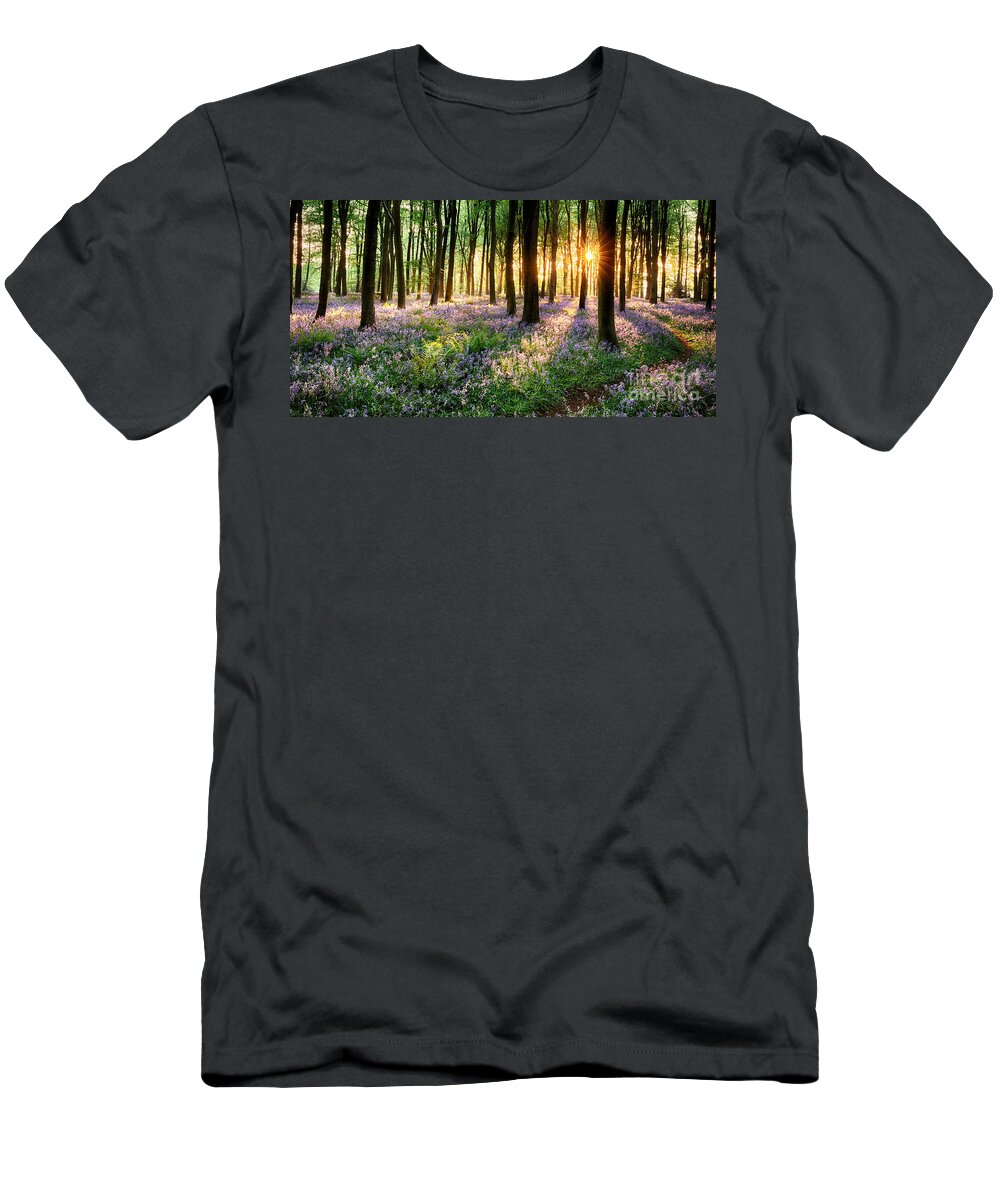 Flower T-Shirt featuring the photograph English bluebell woodland path by Simon Bratt