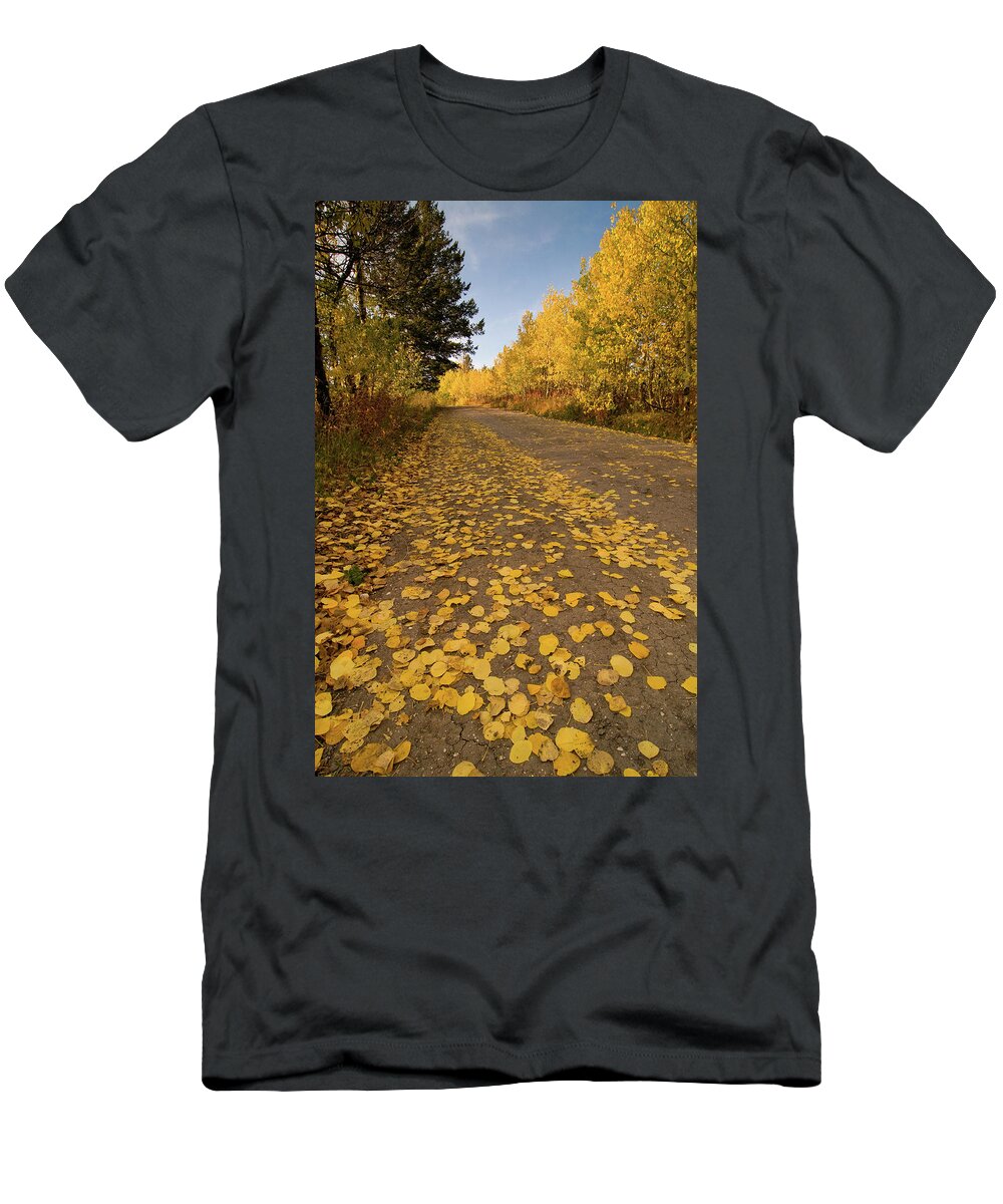 Grand Teton T-Shirt featuring the photograph Paved in Gold by Steve Stuller