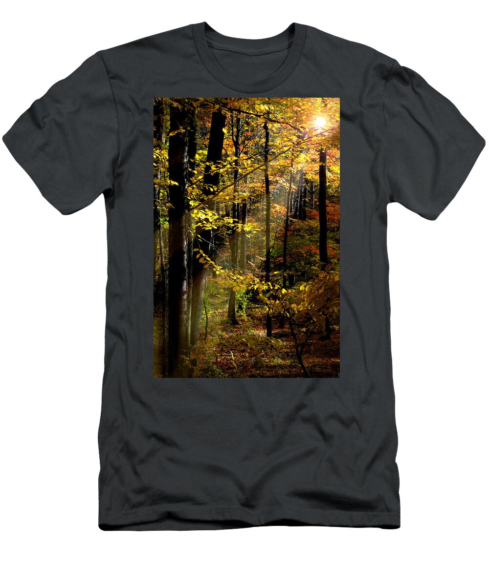 Landscape T-Shirt featuring the photograph Peaceful Guidance by Diana Angstadt