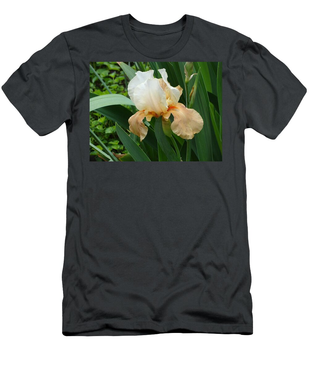 Peach And White T-Shirt featuring the photograph Peach and White Iris by Anthony Seeker