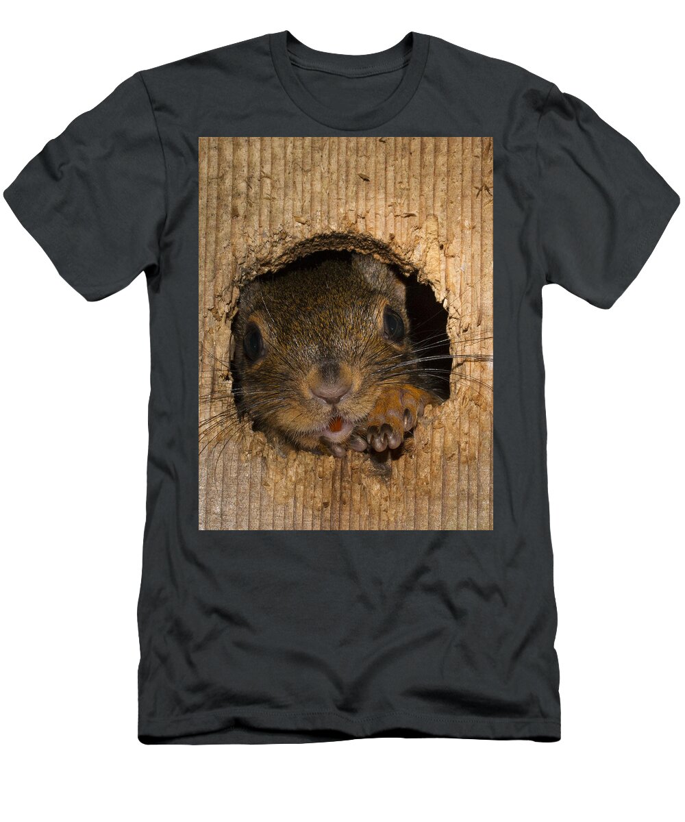 Garden T-Shirt featuring the photograph Peeking Squirrel by Jean Noren