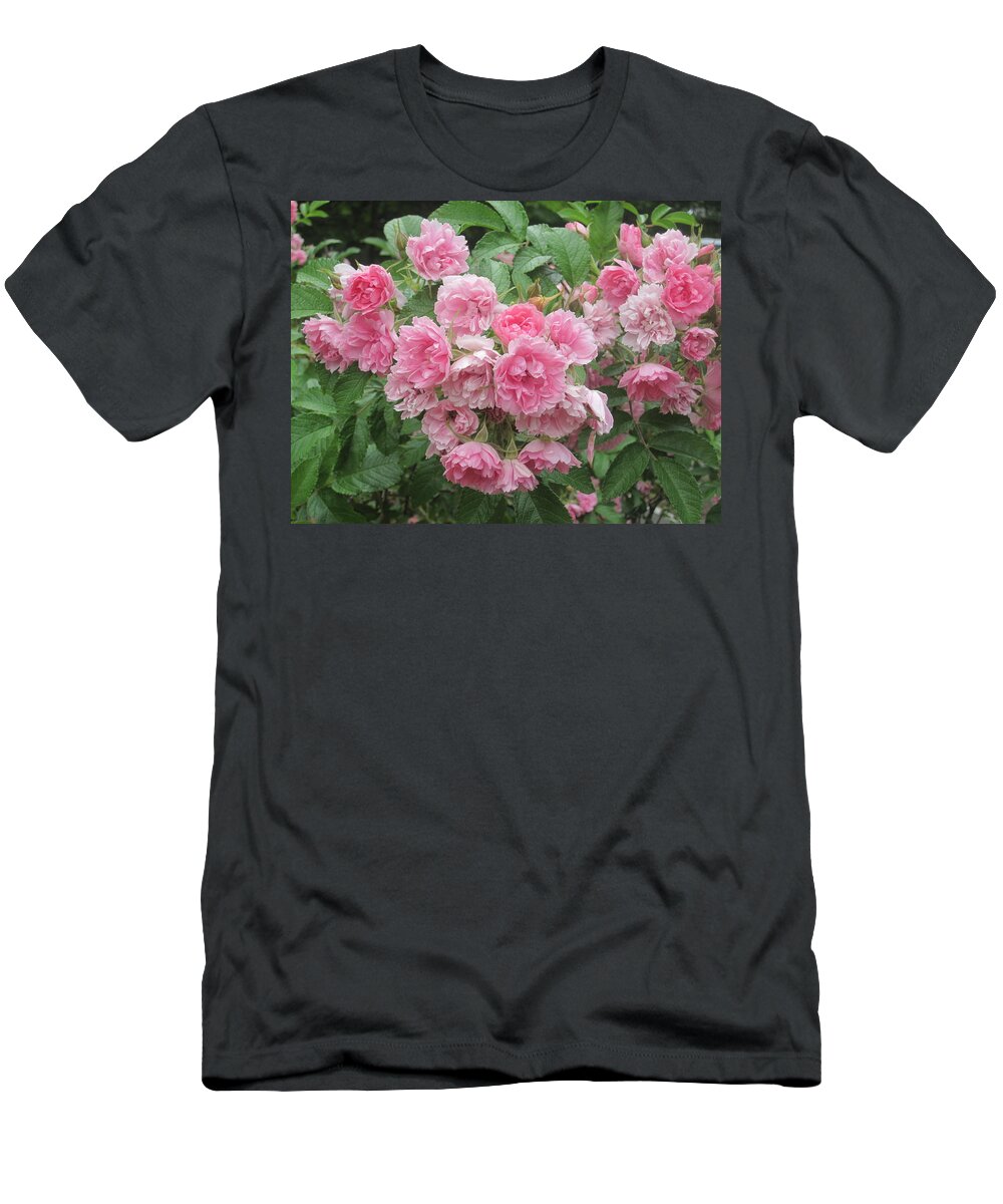Photos By Paul Meinerth T-Shirt featuring the photograph Peonies at Glen Magna Farms by Paul Meinerth