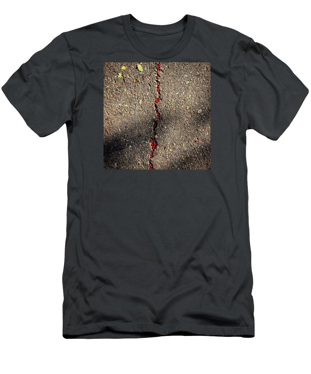 Red T-Shirt featuring the photograph Pepper tree berries by Eric Suchman