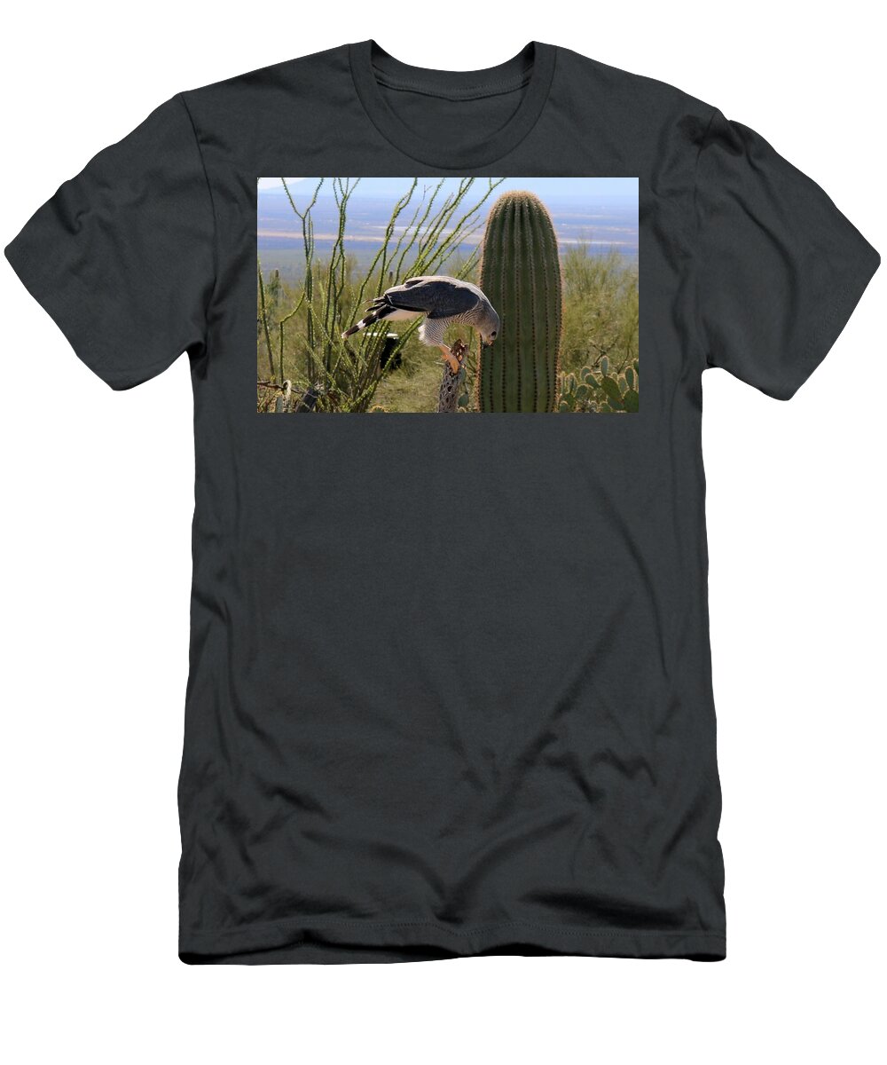 Peregrine Falcon T-Shirt featuring the photograph Peregrine Falcon - 2 by Christy Pooschke
