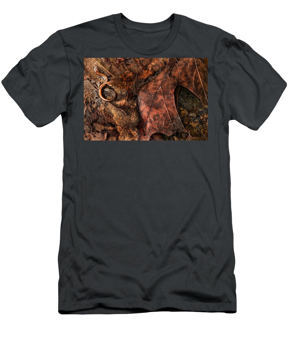 Salamander T-Shirt featuring the photograph Perfect Disguise by Jill Love