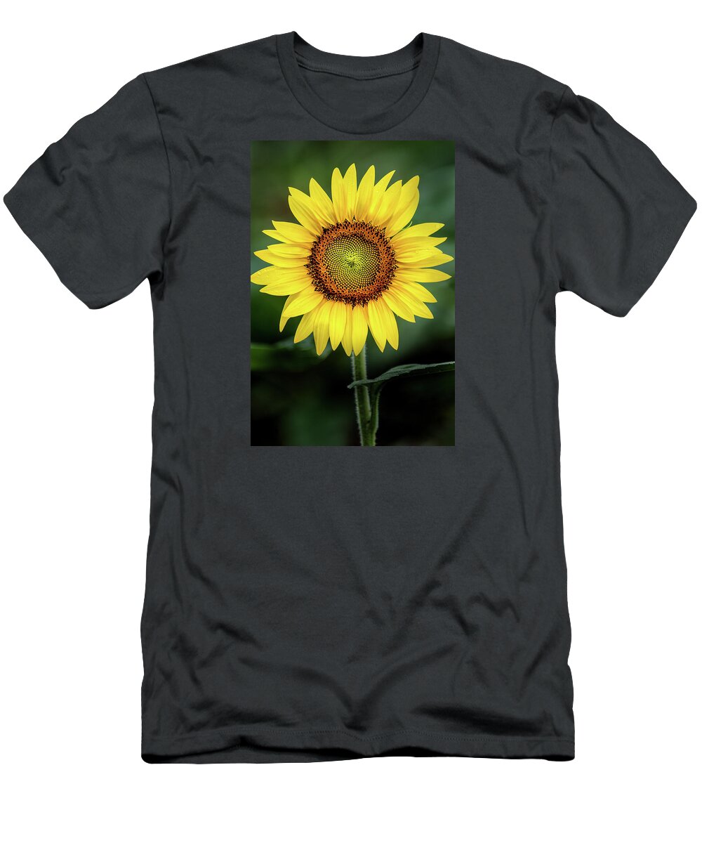 Sunflower T-Shirt featuring the photograph Perfect Sunflower by Don Johnson