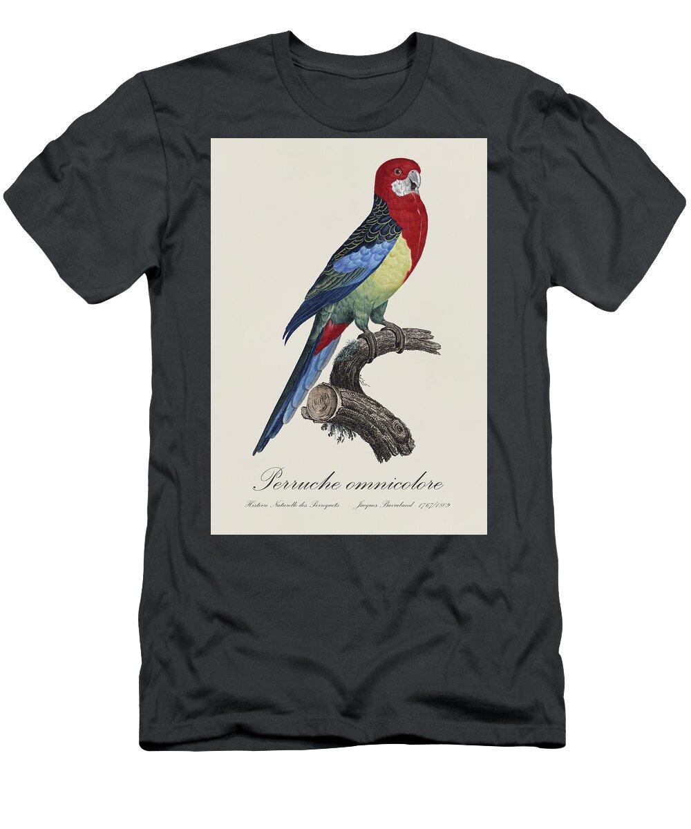 Perruche T-Shirt featuring the painting Perruche omnicolore / Eastern rosella - Restored 19th century illustration by Jacques Barraband by SP JE Art