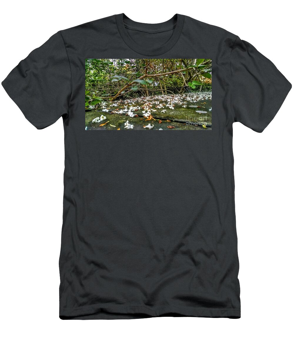 Flowers T-Shirt featuring the photograph Petal and Stone by Christopher Lotito