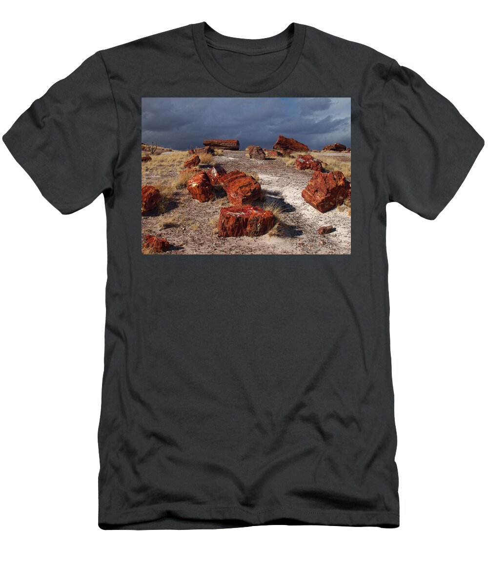 Peterson Nature Photography T-Shirt featuring the photograph Petrified Forest National Park by James Peterson