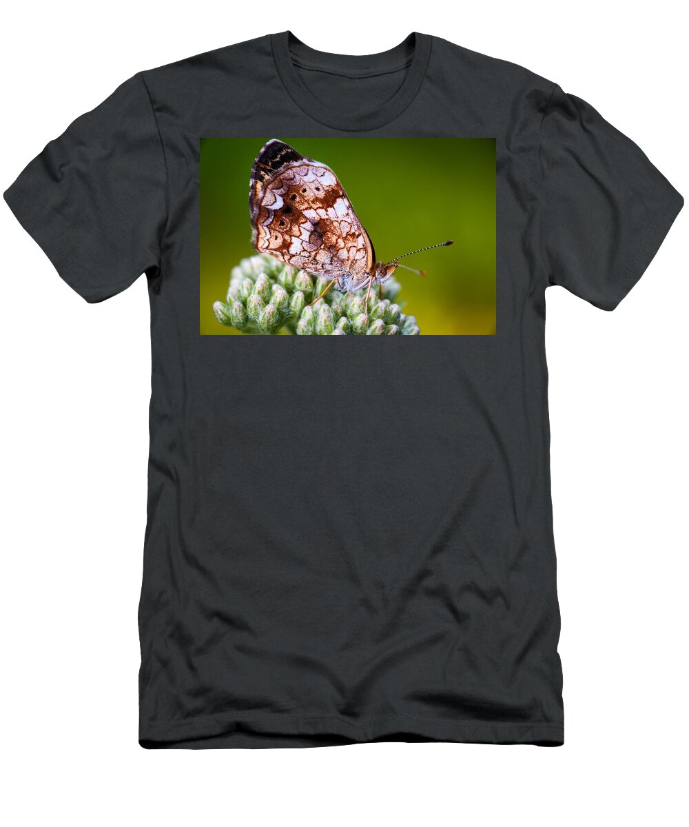 Insect T-Shirt featuring the photograph Phaon Crescent by Jeff Phillippi
