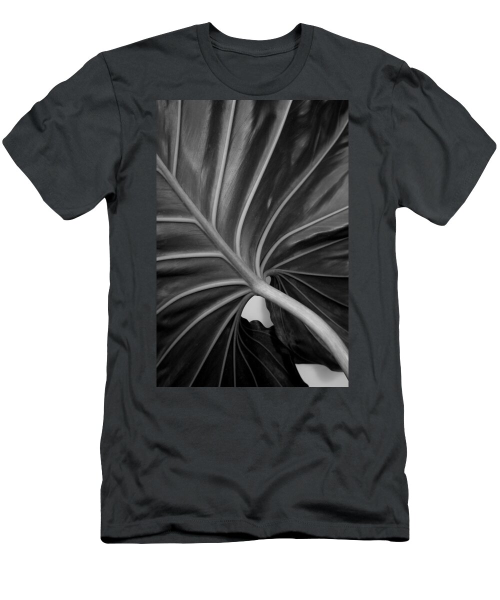 Philodendron T-Shirt featuring the photograph Philodendron giganteum by Nathan Abbott