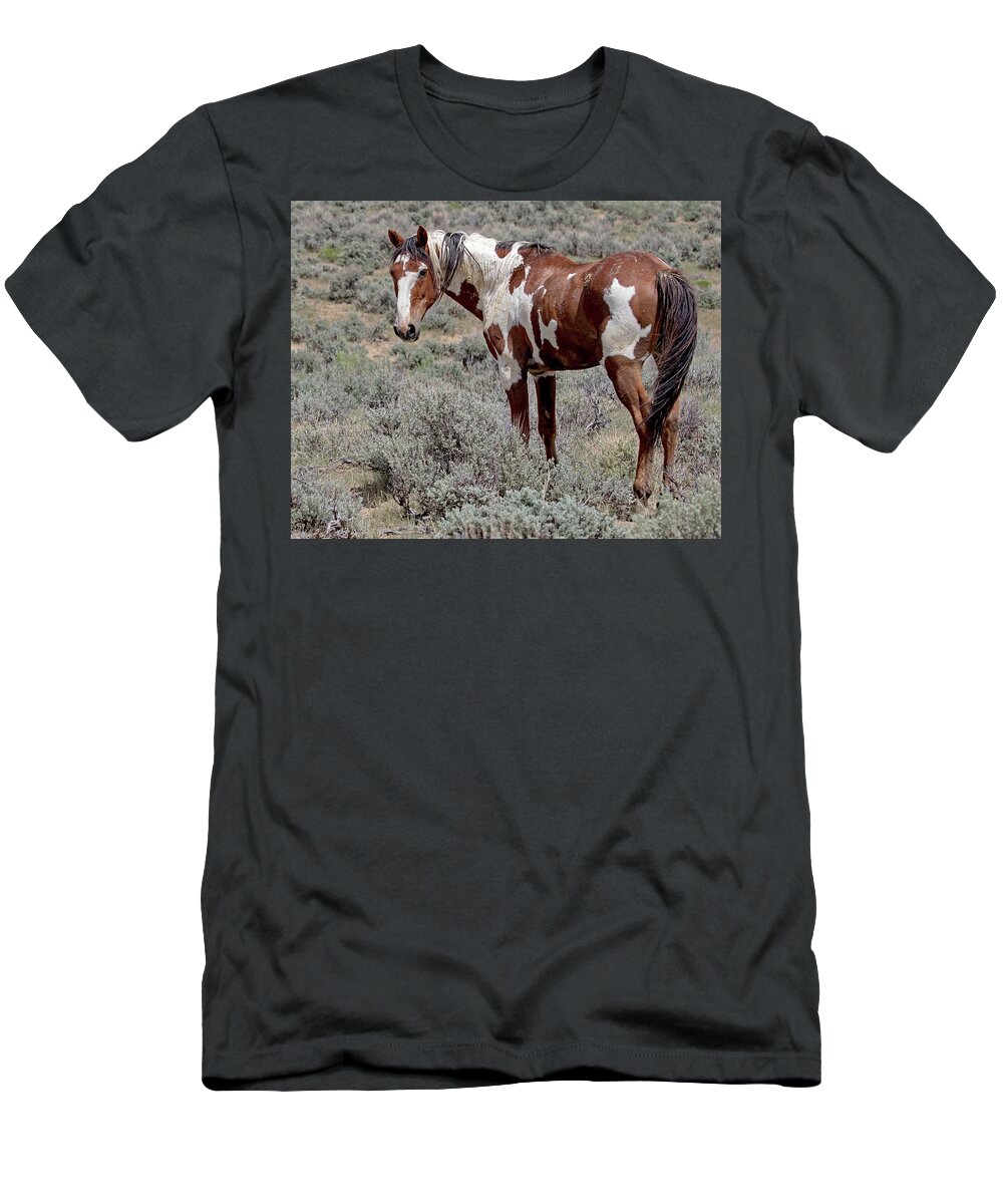 Picasso T-Shirt featuring the photograph Picasso of Sand Wash Basin #2 by Mindy Musick King