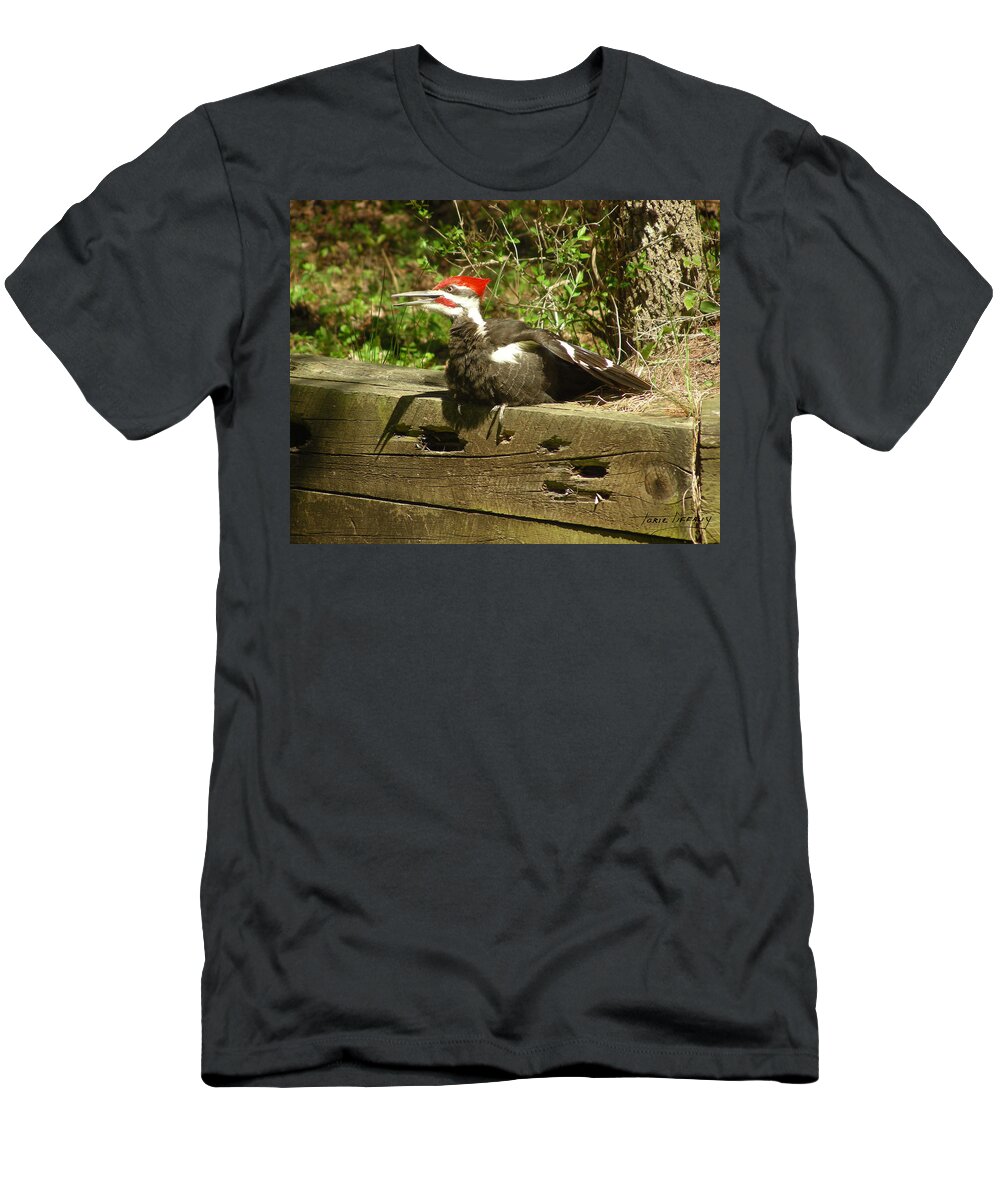 Faunagraphs T-Shirt featuring the photograph Pileated Woodpecker1 by Torie Tiffany