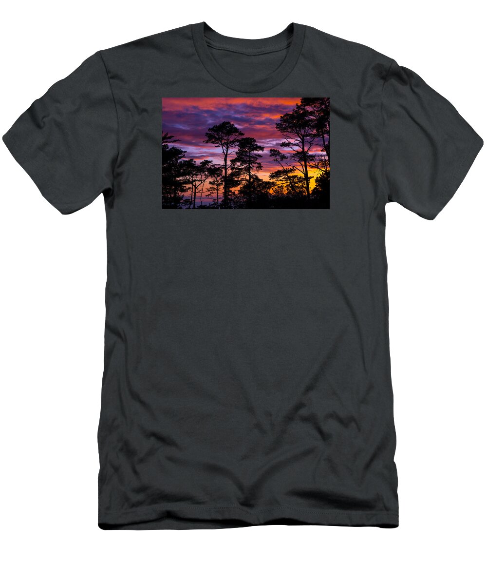 Trees T-Shirt featuring the photograph Pine Forest Sunset by Derek Dean