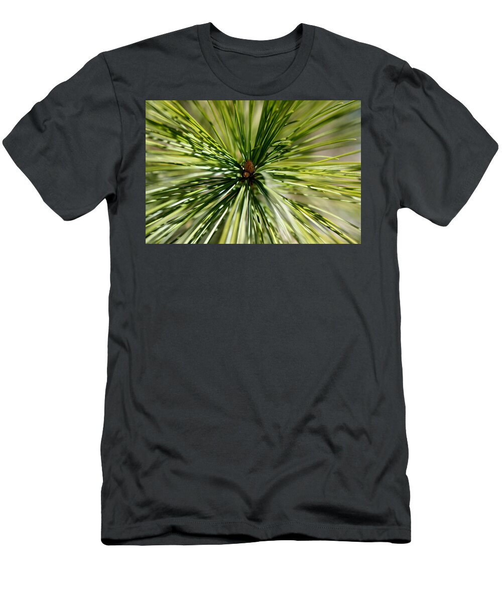 Pine Needles T-Shirt featuring the photograph Pine Needles by Laura Kinker