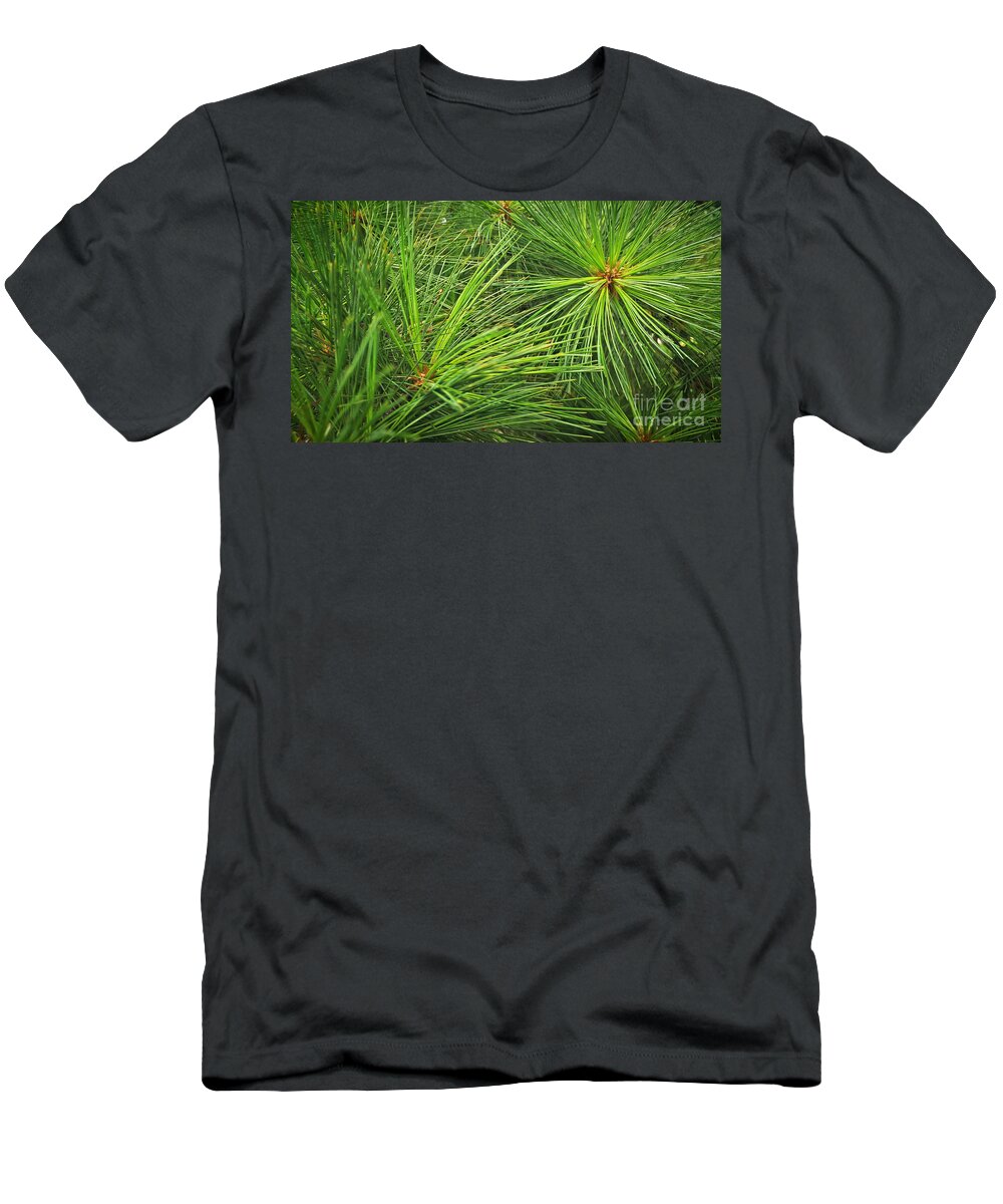 Pine T-Shirt featuring the photograph Pine Needles by Robert Knight