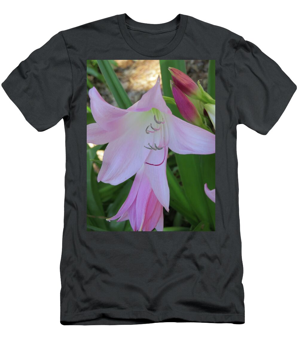 Flowers T-Shirt featuring the photograph Pink Crinum Lily by Judith Lauter